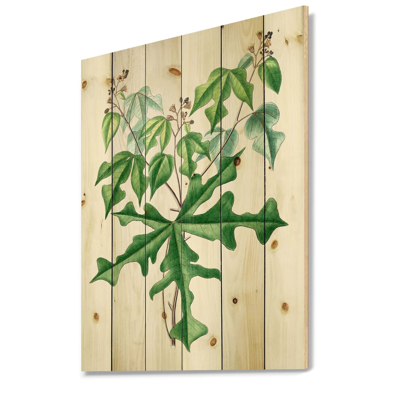 Designart - Vintage Drawing of Wild Plants - Traditional Print on Natural Pine Wood